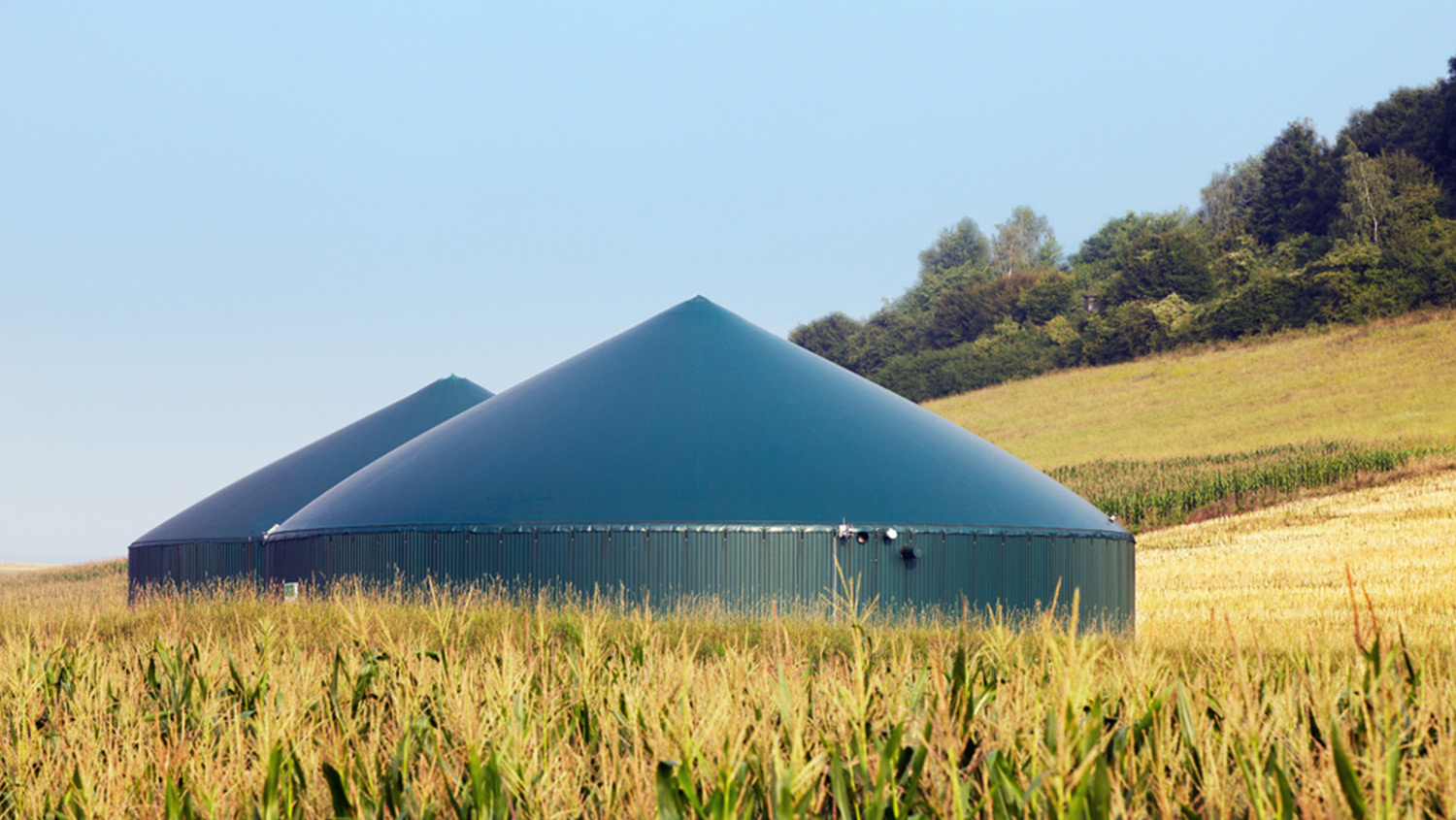 01_industrial_heygreen_header.jpg