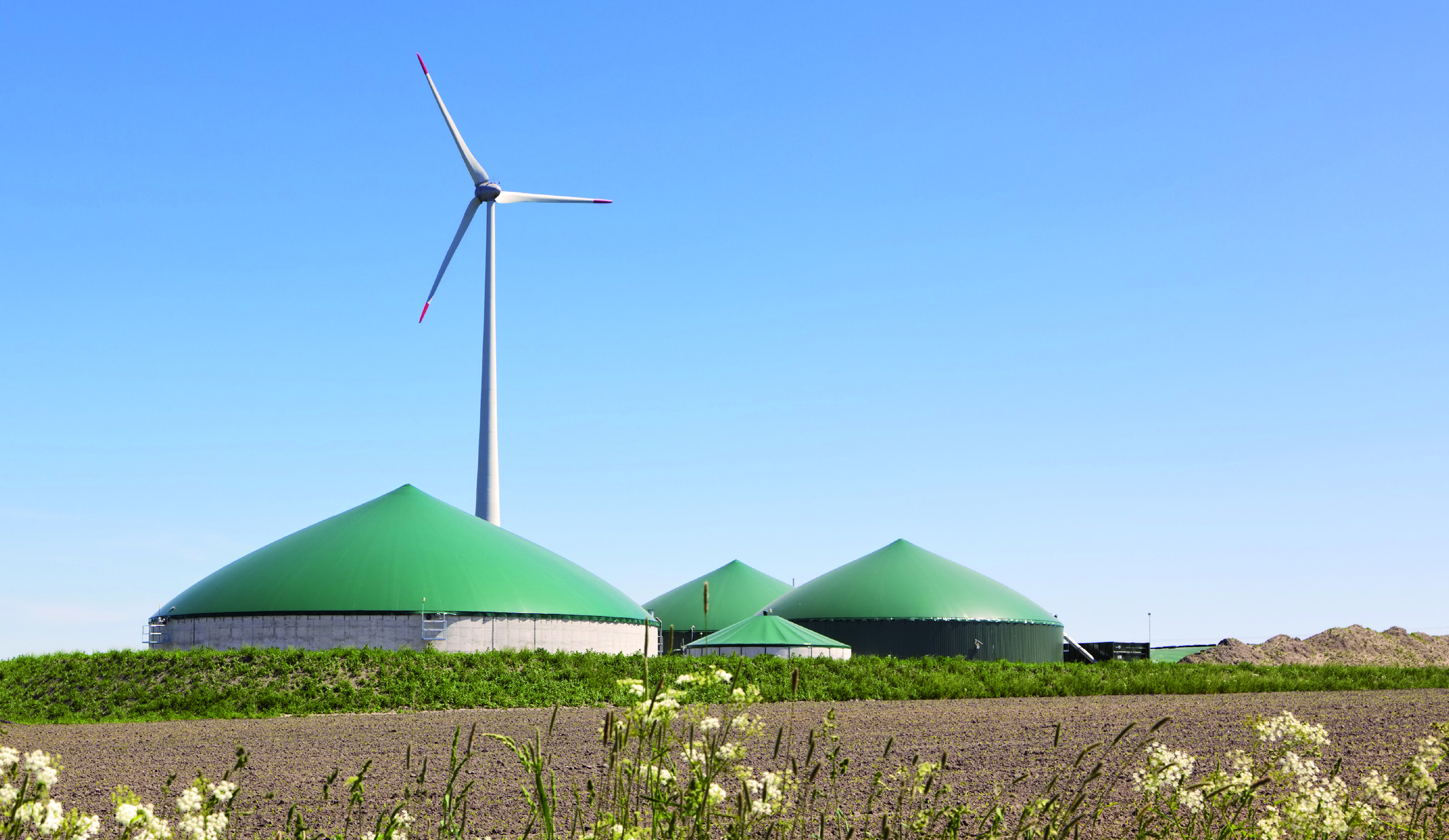 HEYgreen 001.jpg