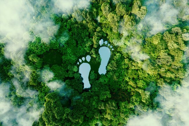 csm_tuev-nord-cert-carbon-footprint-picture_0038787b2f.jpeg
